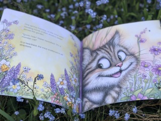 Moving on from picture books