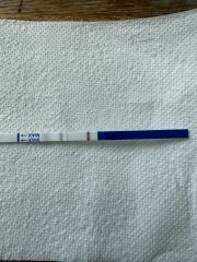 Vfp before bed last night. But 2 negatives this morning? So confused