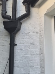 Damp damaging scotia