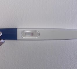 May 2025 TTC Support Thread #2!