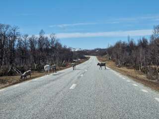 Year round Nigel Slater discussion thread Part 2