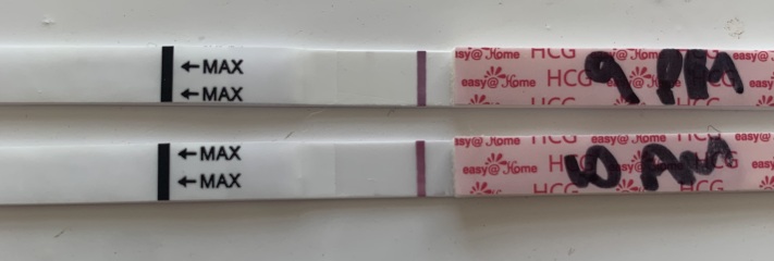 Help! Are these indent lines?