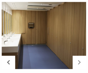 Houses of Parliament refuses to ban trans women from female lavatories