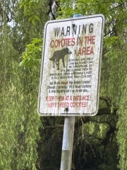 Come and tell us your dull and unexciting news 33: Calmly through the day