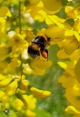 Year round Nigel Slater discussion thread Part 2