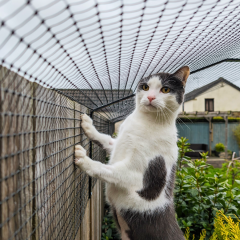 Was neighbour BU?