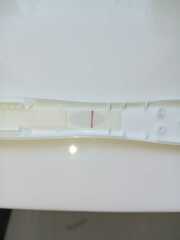 June 2025 TTC Support Thread