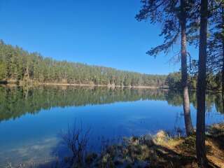 Year round Nigel Slater discussion thread Part 2