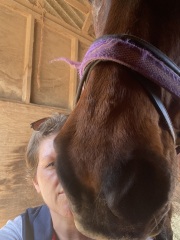 Cancer Support Thread 96: It’s nearly Christmas - get the sprouts on.