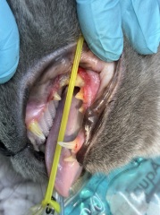 Thread 17 - TalkLair: "Okay, first of all, what's with the outfit? Live in the now, okay? You look like DeBarge."