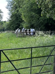 Come and tell us your dull and unexciting news 33: Calmly through the day