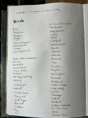 Any Witches Here? Part 21