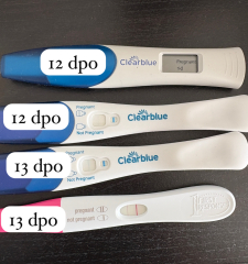 Line progression help pleasee!!