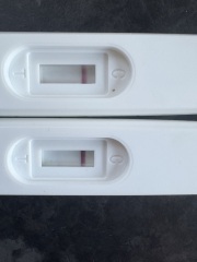 Thick pink line, evap?