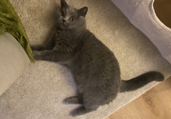 Thread 17 - TalkLair: "Okay, first of all, what's with the outfit? Live in the now, okay? You look like DeBarge."