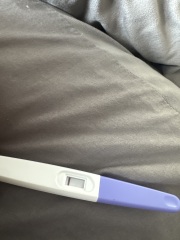 10dpo