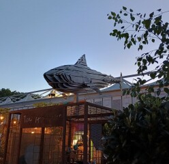 The Bluestocking Women’s Pub - The Return of Salad and the Lion