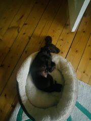15 week WCS wake up time!