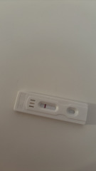 Pregnancy test positive?