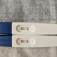 7dp5dt line progression