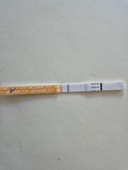 May 2025 TTC Support Thread #2!