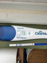 Due February 2026 ✨