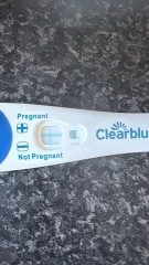 Clear blue test. Evap line or positive