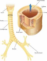 Thread 17 - TalkLair: "Okay, first of all, what's with the outfit? Live in the now, okay? You look like DeBarge."