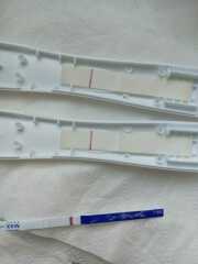 June 2025 TTC Support Thread