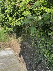 Can we legally cut wire fencing to reinstate boundary?