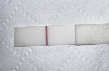 Help please 🥺 testing