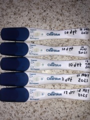 Had embryo transfer, worried blue line is fading