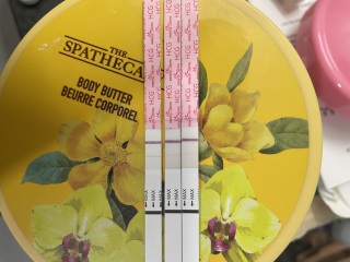 Clear Blue Evap line