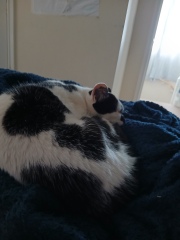 Mounjaro/Wegovy with > 5st/30kg to lose:  Thread 7