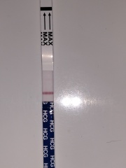 Positive digital test, negative boots strips??? 