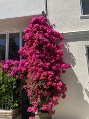 Year round Nigel Slater discussion thread Part 2