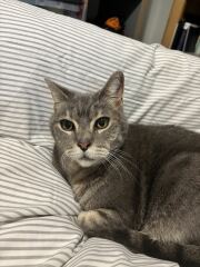 Happy 14th Birthday Mithril!