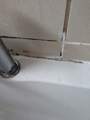How to get of disgusting black mould in bathroom with pics