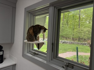 Come and tell us your dull and unexciting news 33: Calmly through the day