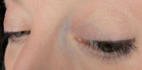 Find my eyeshadow, L'Oréal