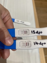 Help! Are these indent lines?