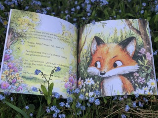 Moving on from picture books