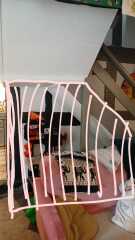 Boxing in under stairs/ PICS