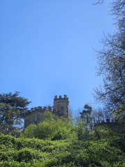 Year round Nigel Slater discussion thread Part 2