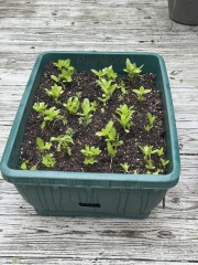 Come and tell us your dull and unexciting news 33: Calmly through the day