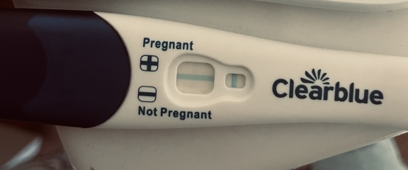 Heavy, larger and sore boobs -potentially pregnant