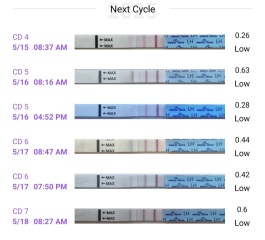 OPKs after chemical. What do we think of these tests