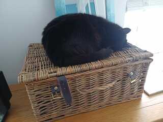 The Bluestocking Women's Pub, where brains can exist in a single state