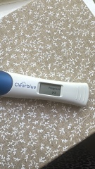 Due January 2026 ✨