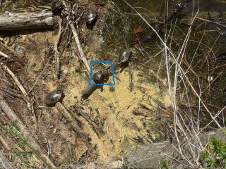 Come and tell us your dull and unexciting news 33: Calmly through the day